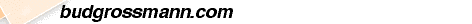 budgrossmann.com